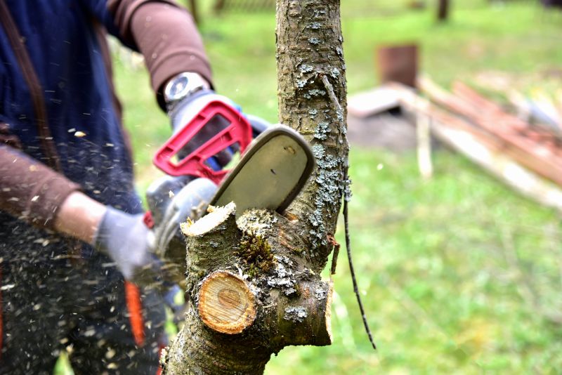 River Birch Trimming in Pottstown, PA